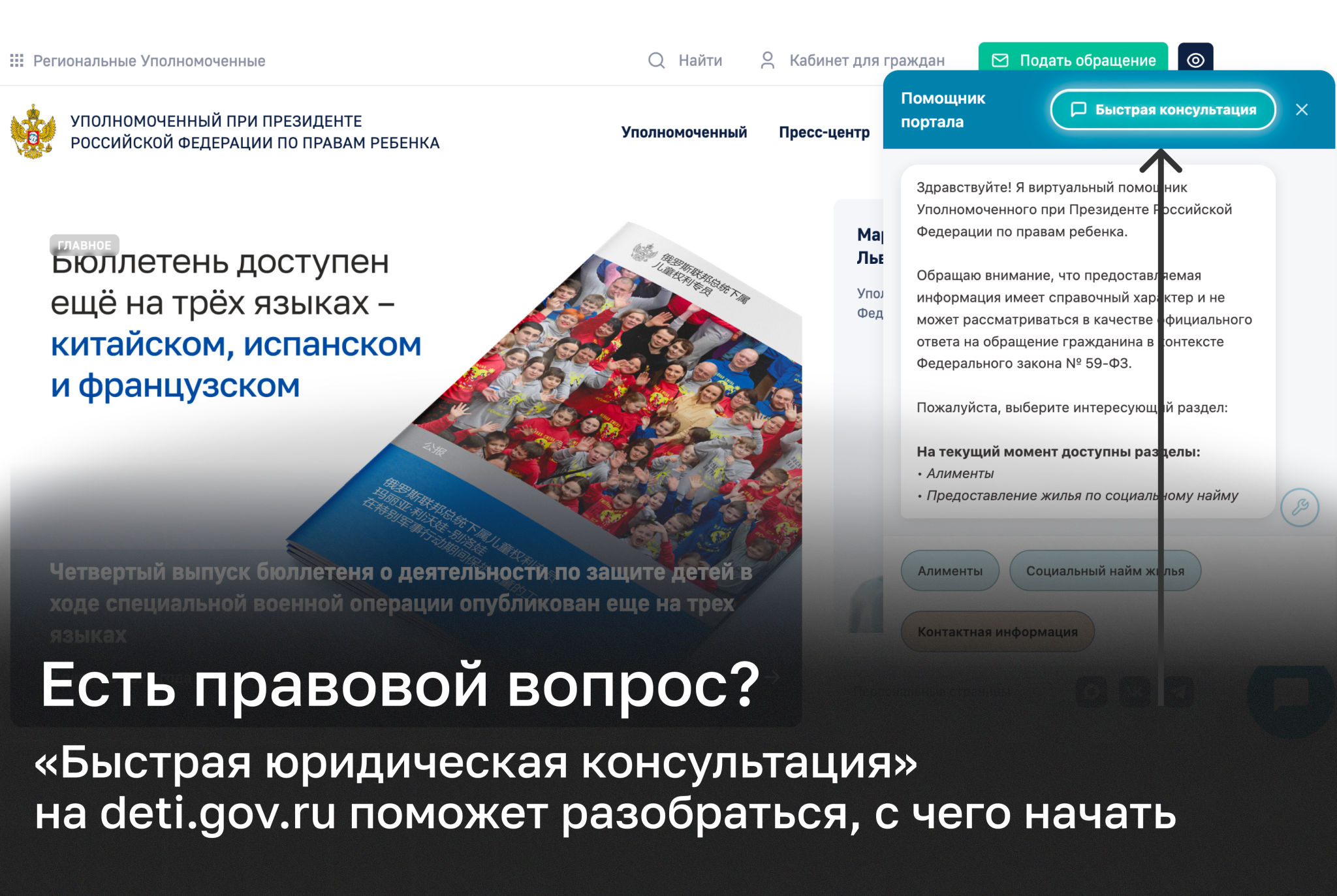 Семьи смогут получить быструю юридическую консультацию на сайте Уполномоченного
