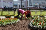 Трудоустройство несовершеннолетних сирот на особом контроле Трудоустройство несовершеннолетних сирот на особом контроле